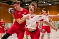 Sportfotografie Handball Landesauswahl Select Cup Olaf Kerber 002