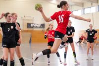 Sportfotografie Handball Landesauswahl Select Cup Olaf Kerber 213