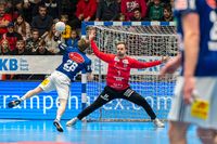 Sportfotografie Handball Bundesliga ASV Hamm Die Recken Hannover