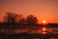 Naturfotografie Wildlifefotografie Sonnenaufgang Lippeaue